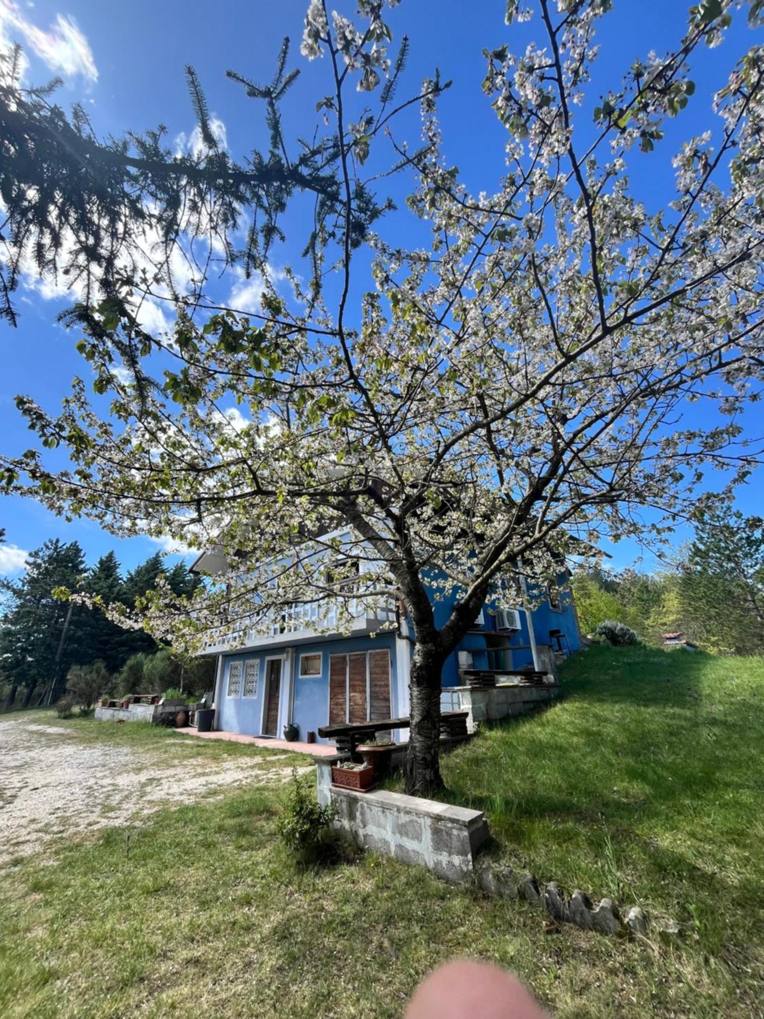 Chalet Ricciano Foligno Exterior photo